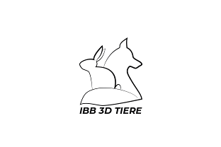 IBB 3D