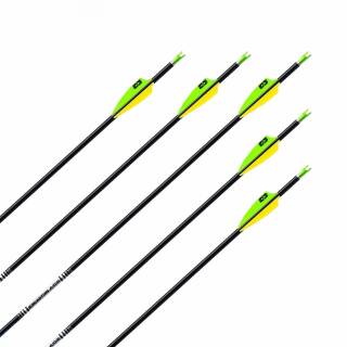 Complete Arrow | EASTON A/C/E - Aluminium-Carbon