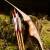 DRAKE ARCHERY ELITE Streak - 62 Zoll - 30-50 lbs - One Piece Recurvebogen