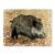 Target Face | Animal - Wild Boar