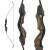 DRAKE ARCHERY ELITE Chameleon - 60-64 pouces - 20-60 lbs - Arcs recourbés