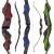 SPIDERBOWS Blizzard - 62-68 pouces - 20-50 lbs - Arcs recurves T/D