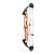 HOYT Stratos 36 HBT - 40-70 lbs - Arco de poleas