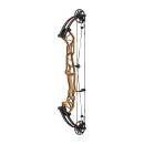 HOYT Concept FX - 40-60 lbs - Arc &agrave; poulies