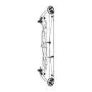 HOYT Concept X 37 - 40-70 lbs - Arco de poleas