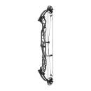 HOYT Concept X 40 - 40-70 lbs - Arco de poleas