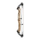 HOYT Concept X 40 - 40-70 lbs - Compoundbogen