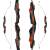 SPIDERBOWS Blizzard - 64-68 pulgadas - 25-50 libras - SWS - Take Down Recurve Bow