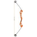 BEAR ARCHERY Valiant - 34 pouces - 7-16,5 lbs - Arc pour d&eacute;butants