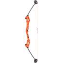 BEAR ARCHERY Valiant - 34 pouces - 7-16,5 lbs - Arc pour d&eacute;butants