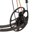 BEAR ARCHERY Royale RTH Extra - 5-50 lbs - Arc &agrave; poulies