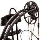 BEAR ARCHERY Royale RTH Extra - 5-50 lbs - Arc &agrave; poulies