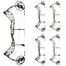 BEAR ARCHERY Whitetail INT - 45-70 lbs - Compoundbogen