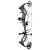 BEAR ARCHERY Species XT RTH - 45-70 lbs - Arc à poulies