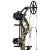 BEAR ARCHERY Species XT RTH - 45-70 lbs - Arc à poulies