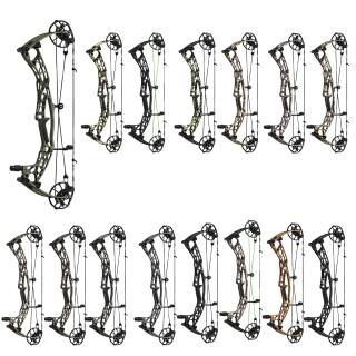 HOYT Alpha AX-2 29 - 40-80 lbs - Arco compound