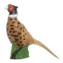 IBB 3D Noble Pheasant