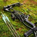 EXHIBITION PIECE | DRAKE Pathfinder Basic - Compound bow